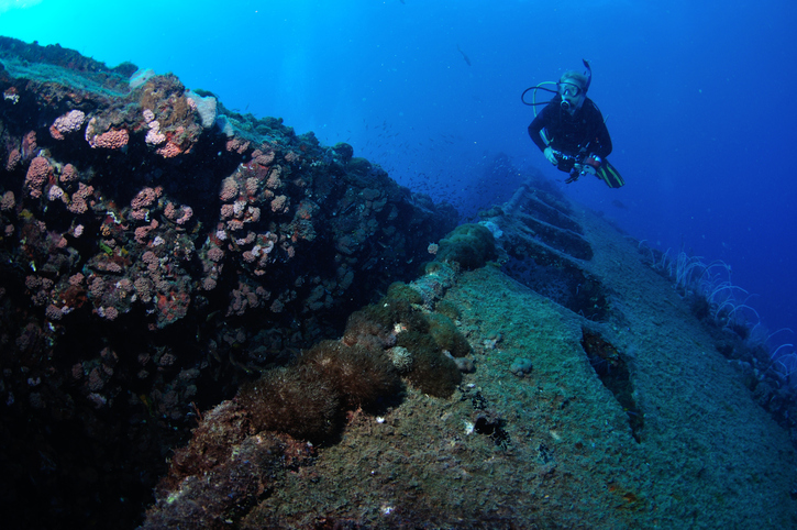 Yongala Shipwreck