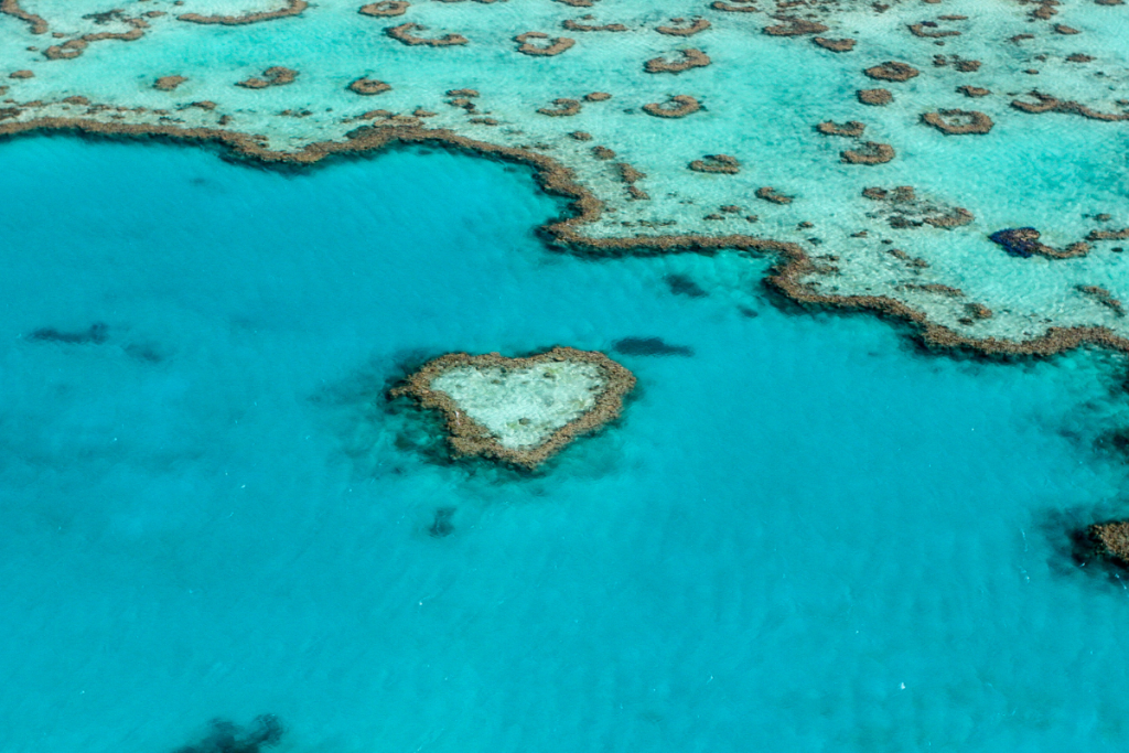Heart Reef