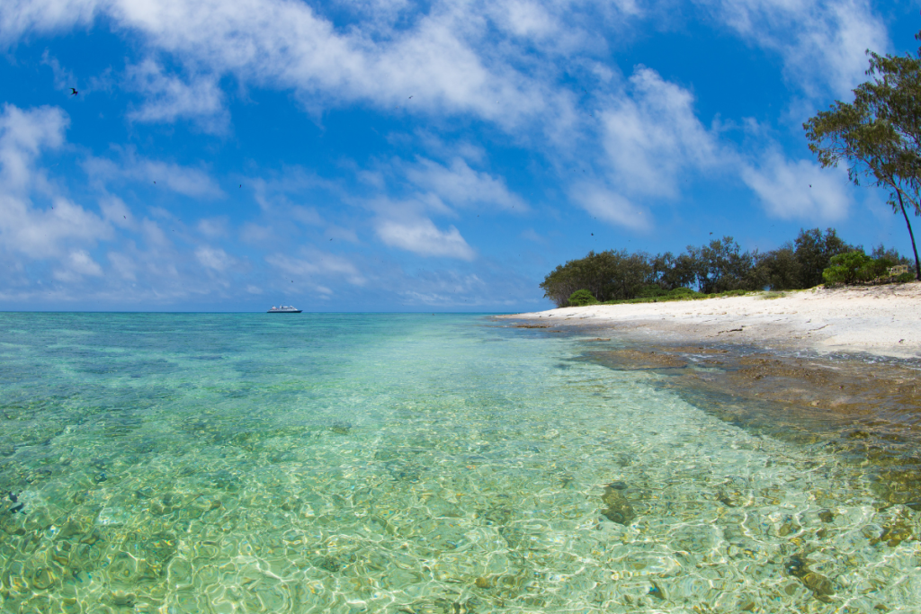 Lady Elliot Island