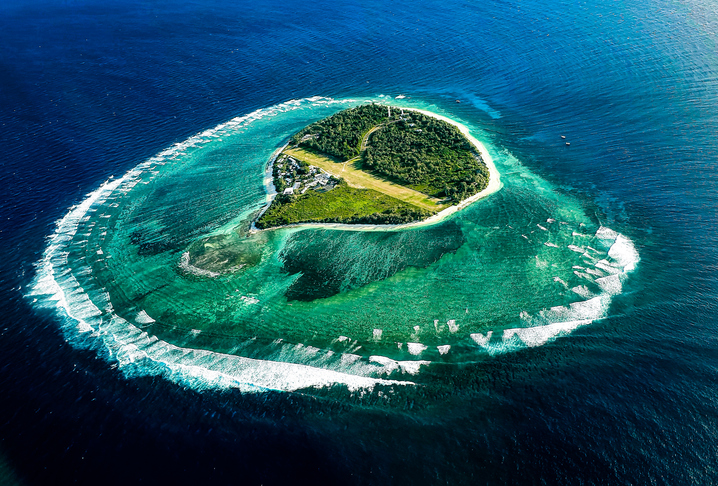 Lady Elliot Island