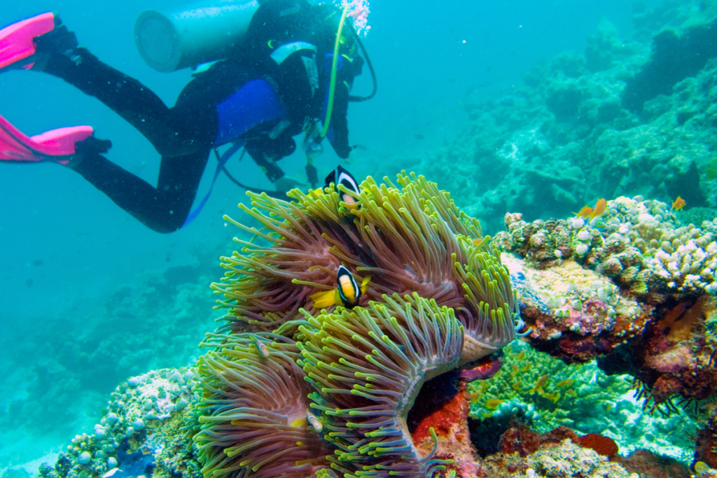 Great Barrier Reef Spots